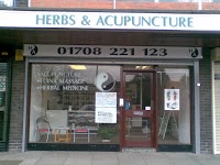 Herbs and Acupuncture 725427 Image 0